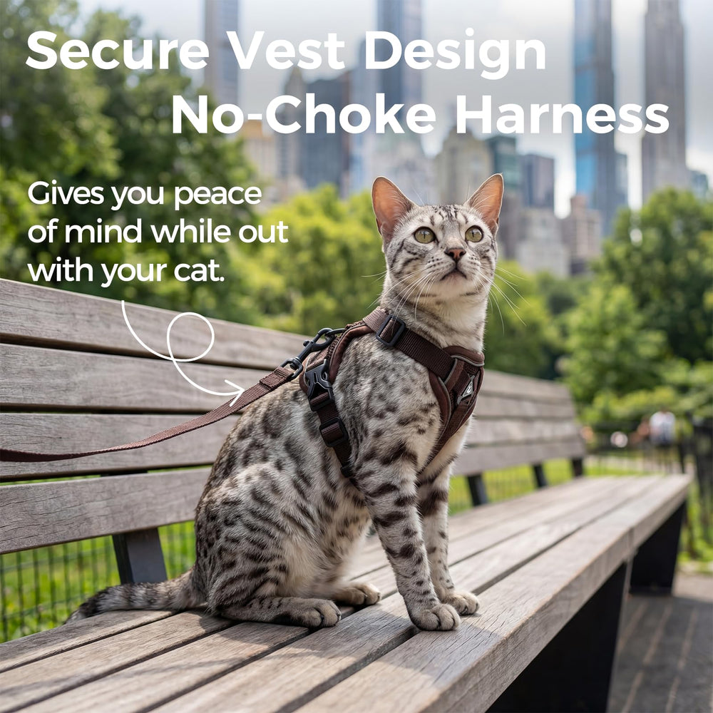 Pangdi harness features reflective strip for safer night walks.