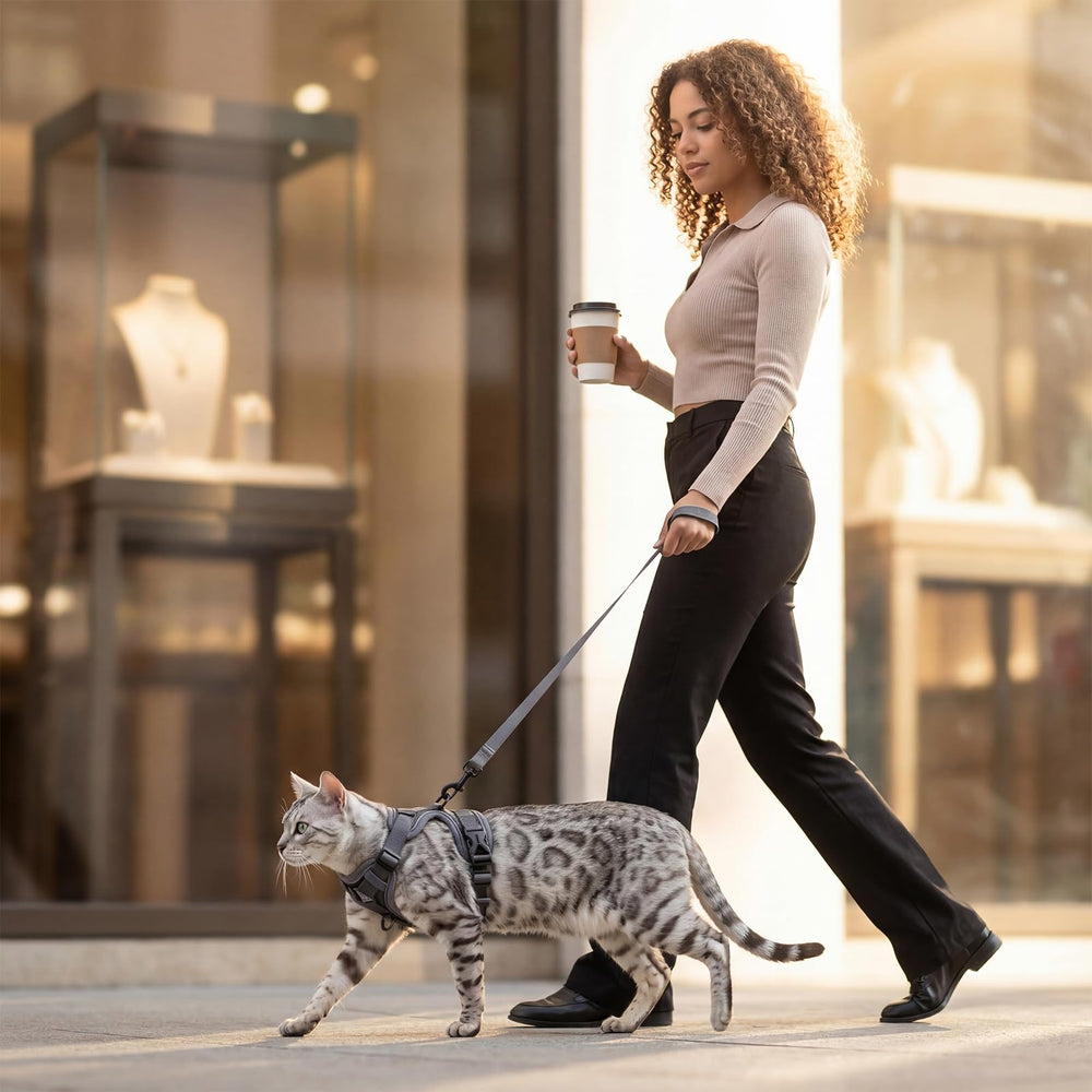pangdi Cat Harness and Leash Starter Kit features quick-release buckles.