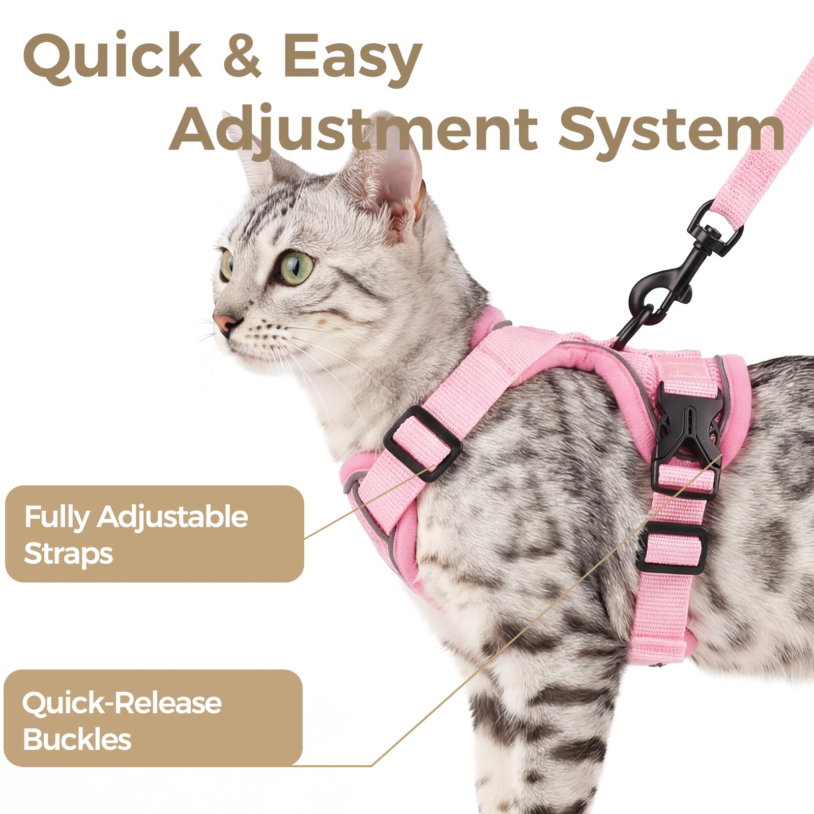 pangdi cat harness xl reflective strip enhances nighttime visibility and safety