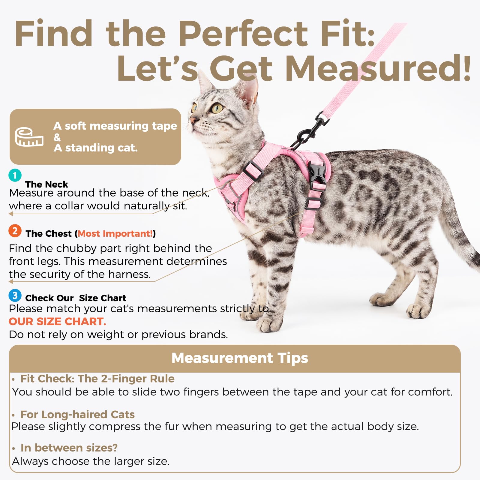 pangdi cat harness xl soft breathable mesh keeps your cat comfy on adventures