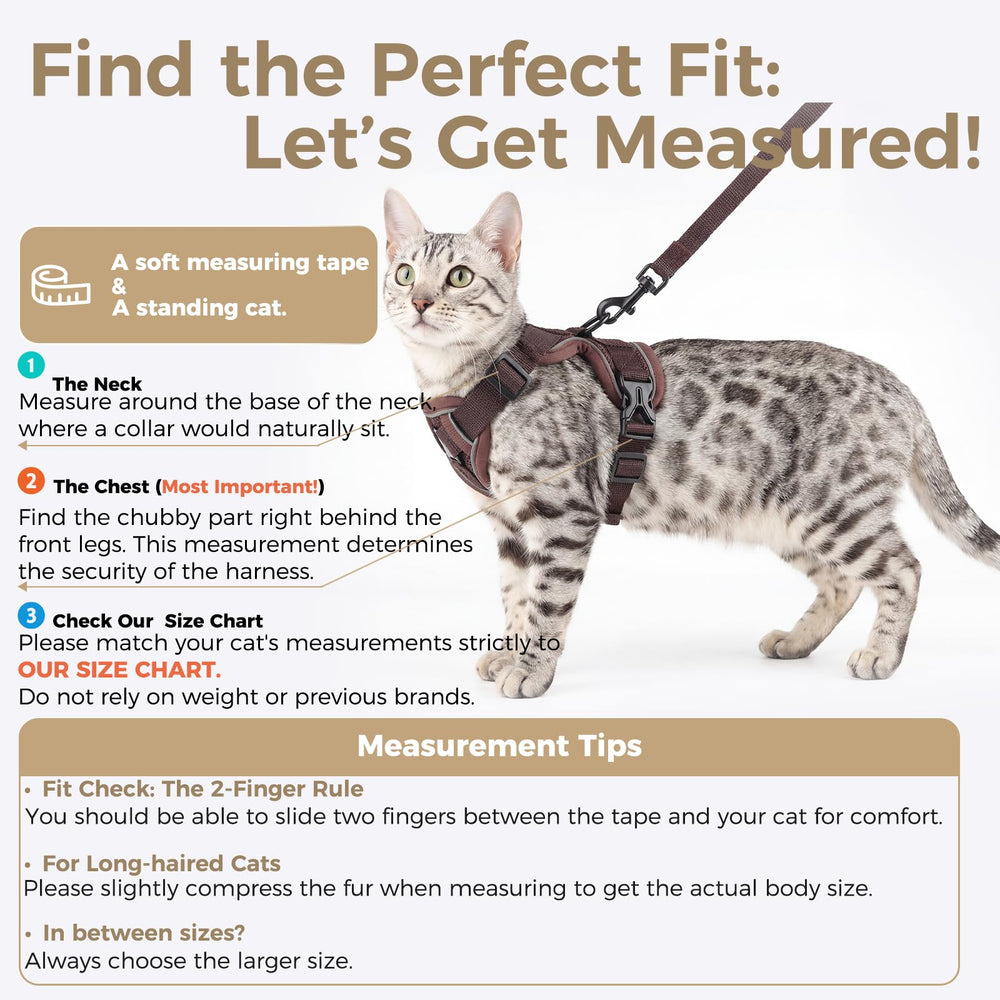 pangdi cat harness quick-release buckles enable easy fitting and quick removal