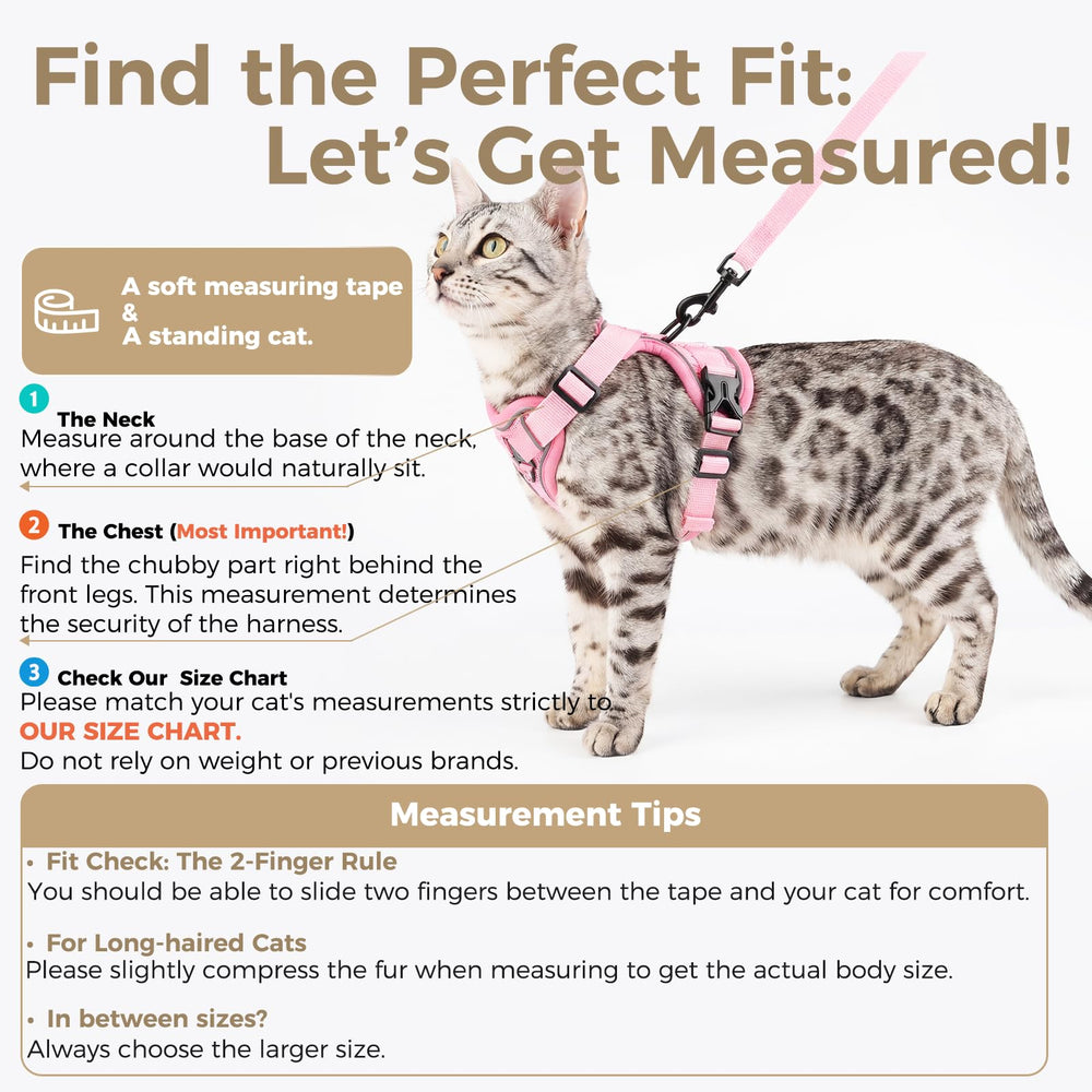 Pangdi cat harness strap adjustment for XXL fit improves comfort on walks