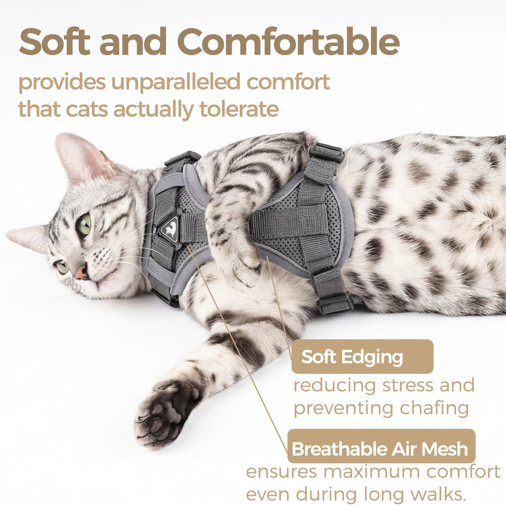 pangdi Cat Harness XL Grey shows a roomy, secure fit.