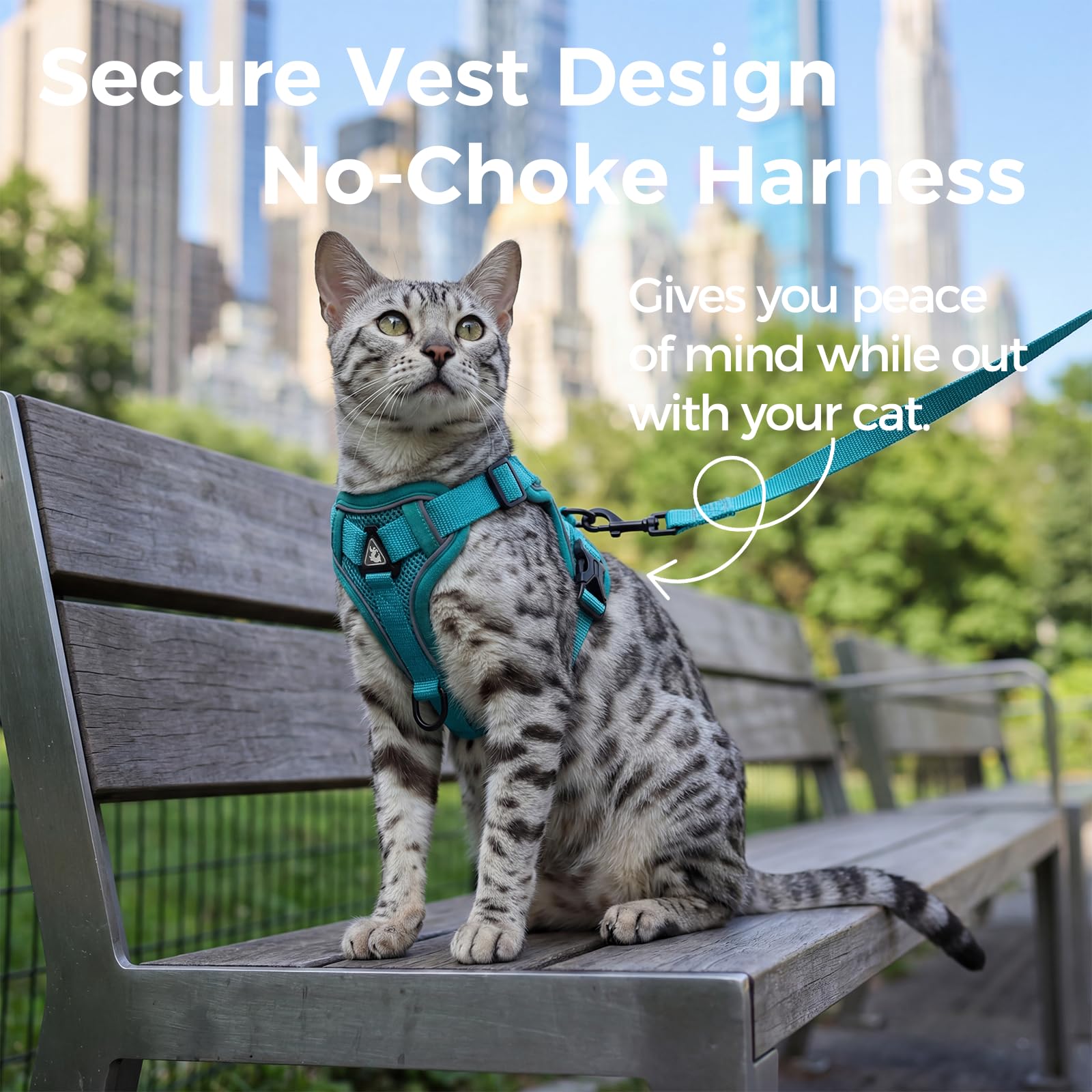 pangdi cat harness xl turquoise reflective strip enhances night visibility for safer strolls.