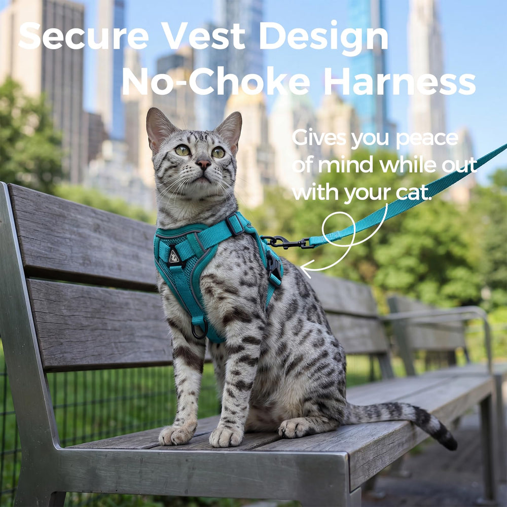 pangdi cat harness xl turquoise reflective strip enhances night visibility for safer strolls.
