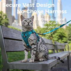 pangdi cat harness xl turquoise reflective strip enhances night visibility for safer strolls.