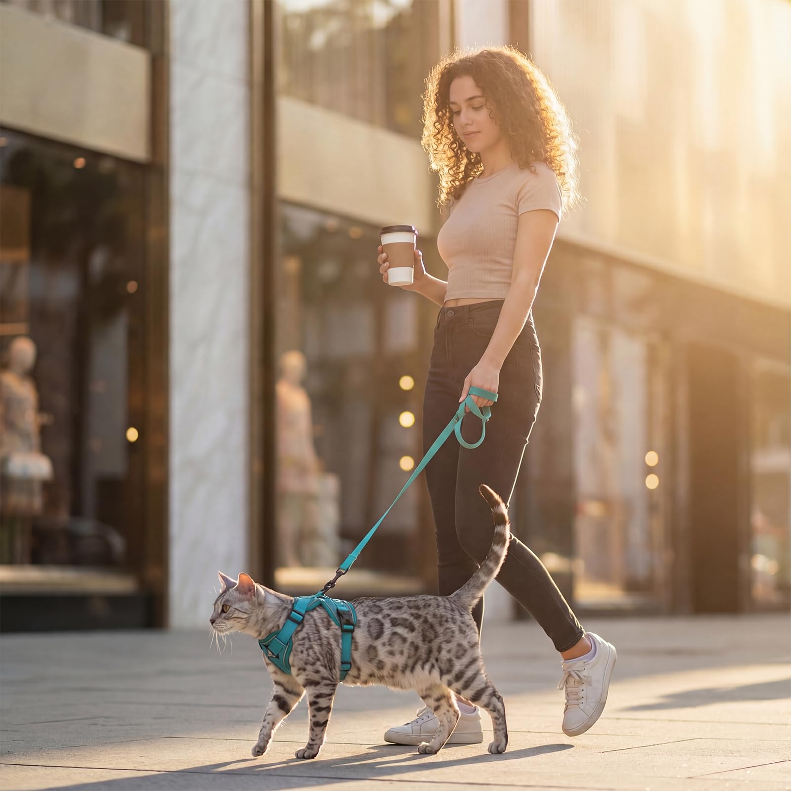 pangdi cat harness xl turquoise safety and visibility for safer low-light adventures.