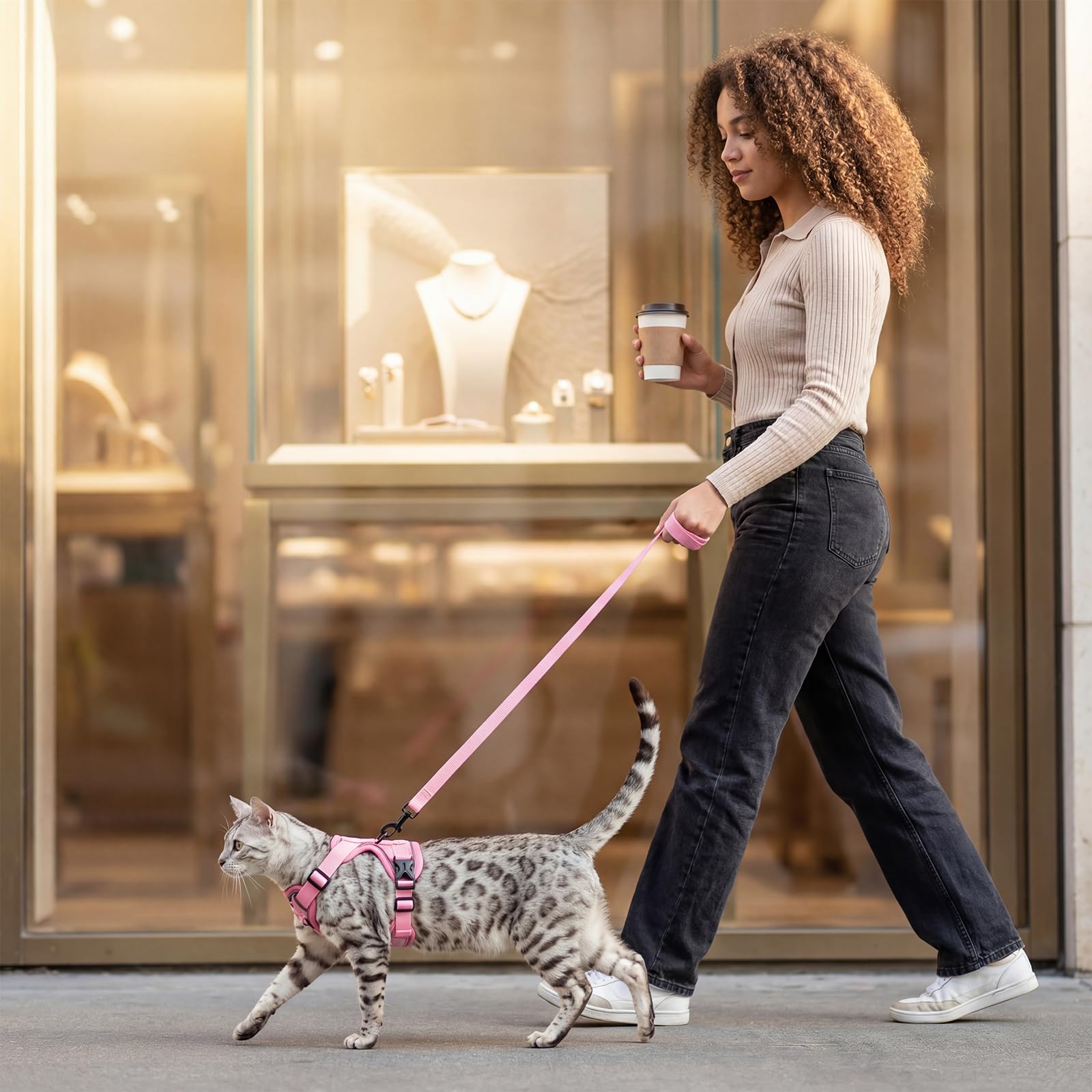 Pangdi cat harness XXL fit display shows size compatibility for larger cats