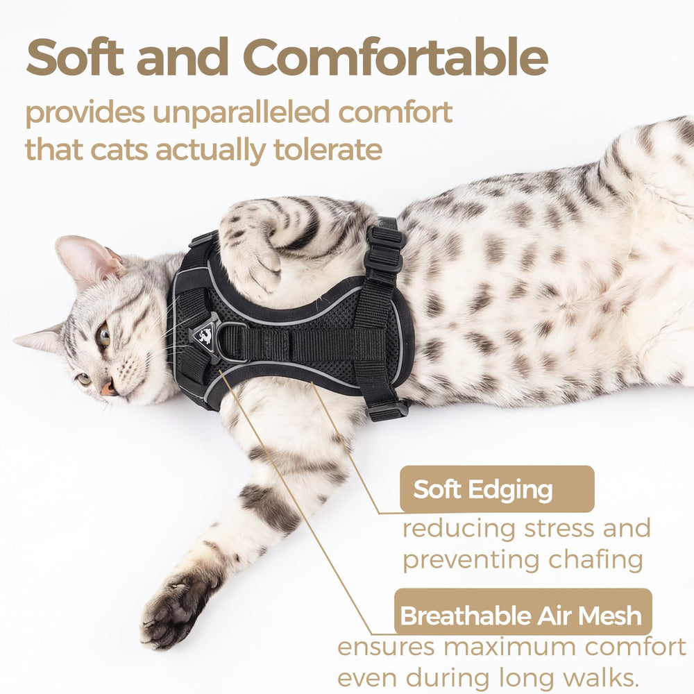 pangdi emotional-support-cat-vest worn shows comforting companionship during outings.
