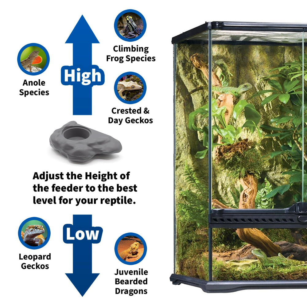 Pangea Compact Gecko Ledge in tank demonstrates compact, space-saving design.