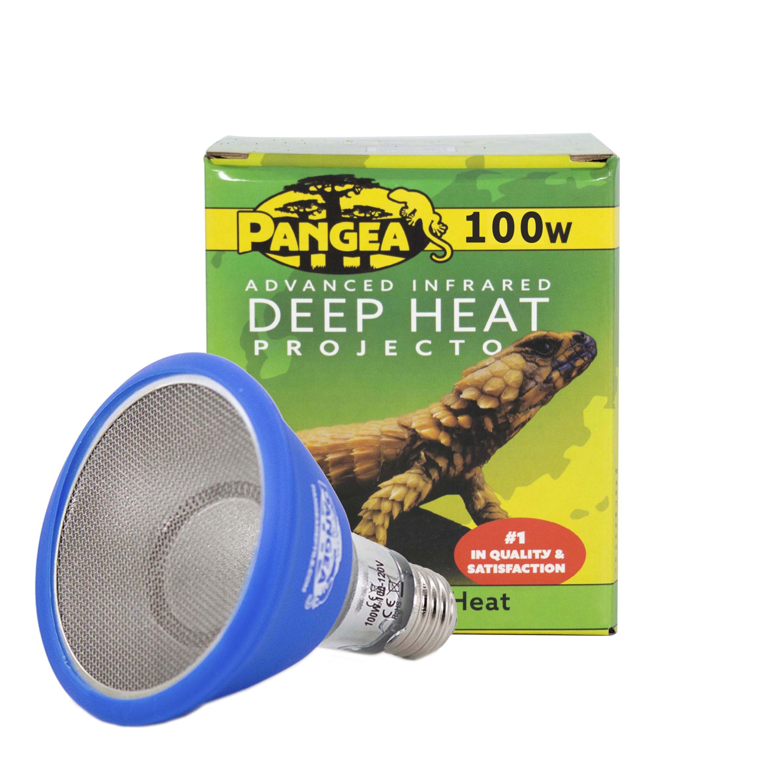 Pangea deep heat projector bulb closeup for efficient basking warmth