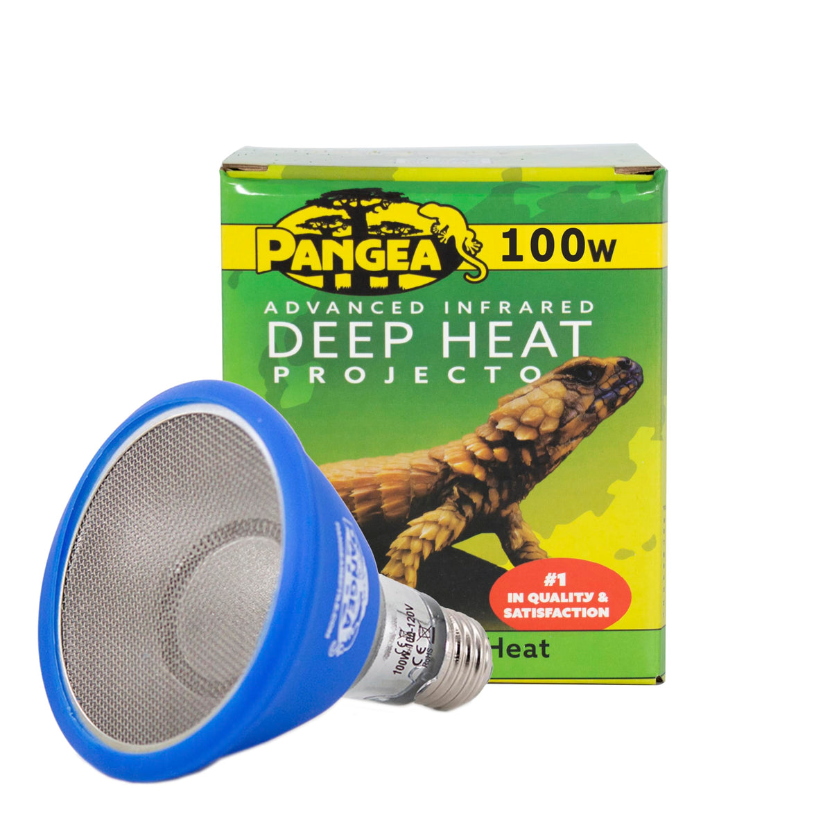 Pangea deep heat projector bulb closeup for efficient basking warmth