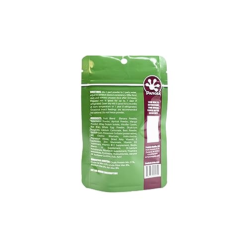 Pangea Gecko Diet: gecko contento al recibir un alimento nutritivo y sabroso.