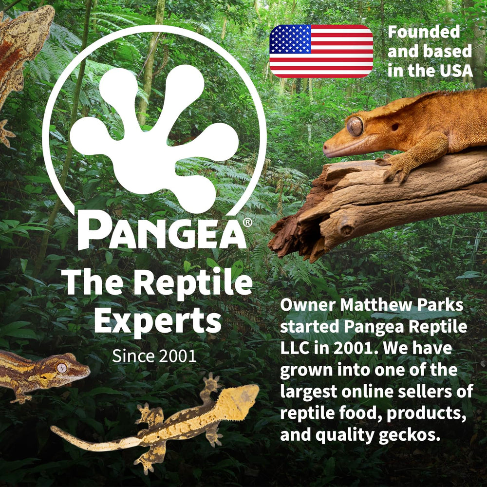 Pangea reptile basking session demonstrates steady warmth for comfort