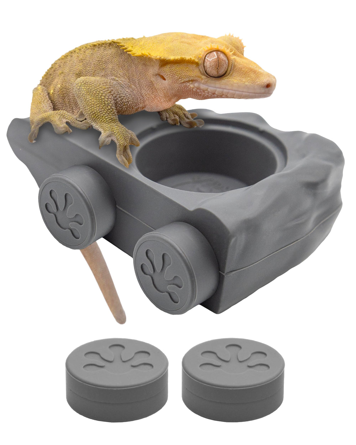 Pangea Silicone Gecko Feeding Ledge gray shows durable silicone and secure feeding support.