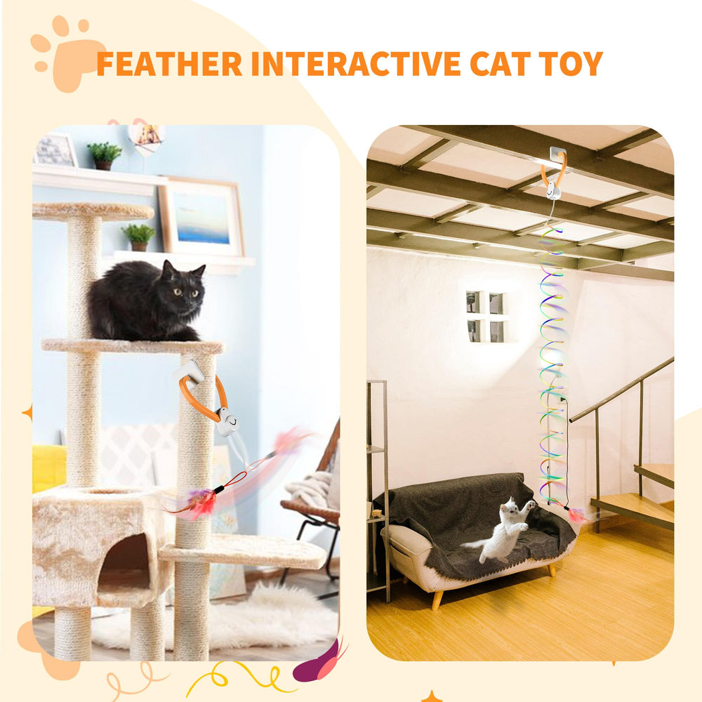 PANRIO multi-cat friendly design suits households with several felines