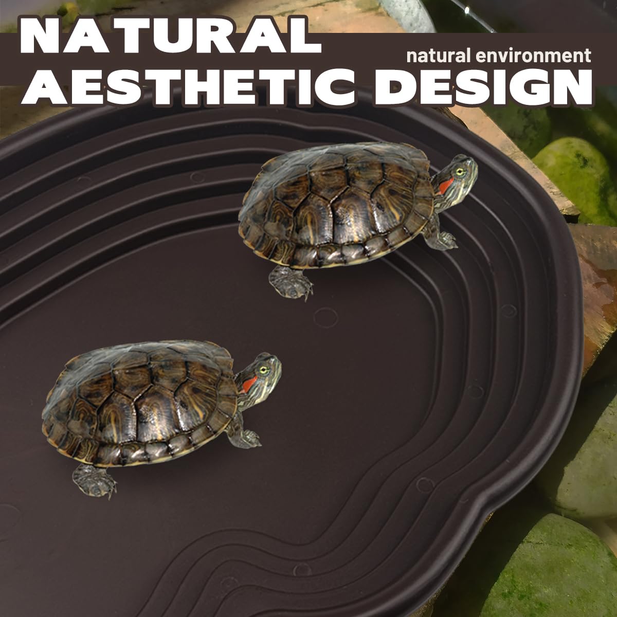 Pansente multireptile habitat setup supports diverse reptiles.