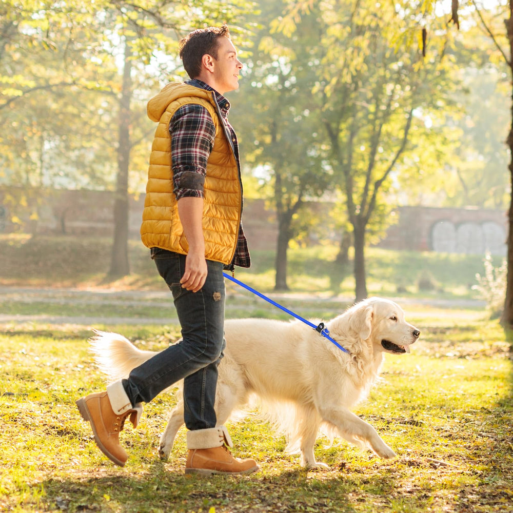 Panthra dog walking outdoor—steady control and comfort during walks.