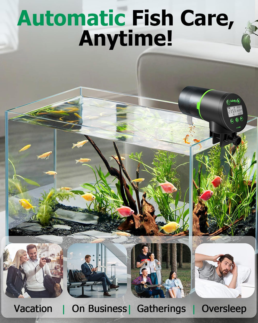 Papettly automatic fish feeder 200ml capacity supports pellets, granules, and powders