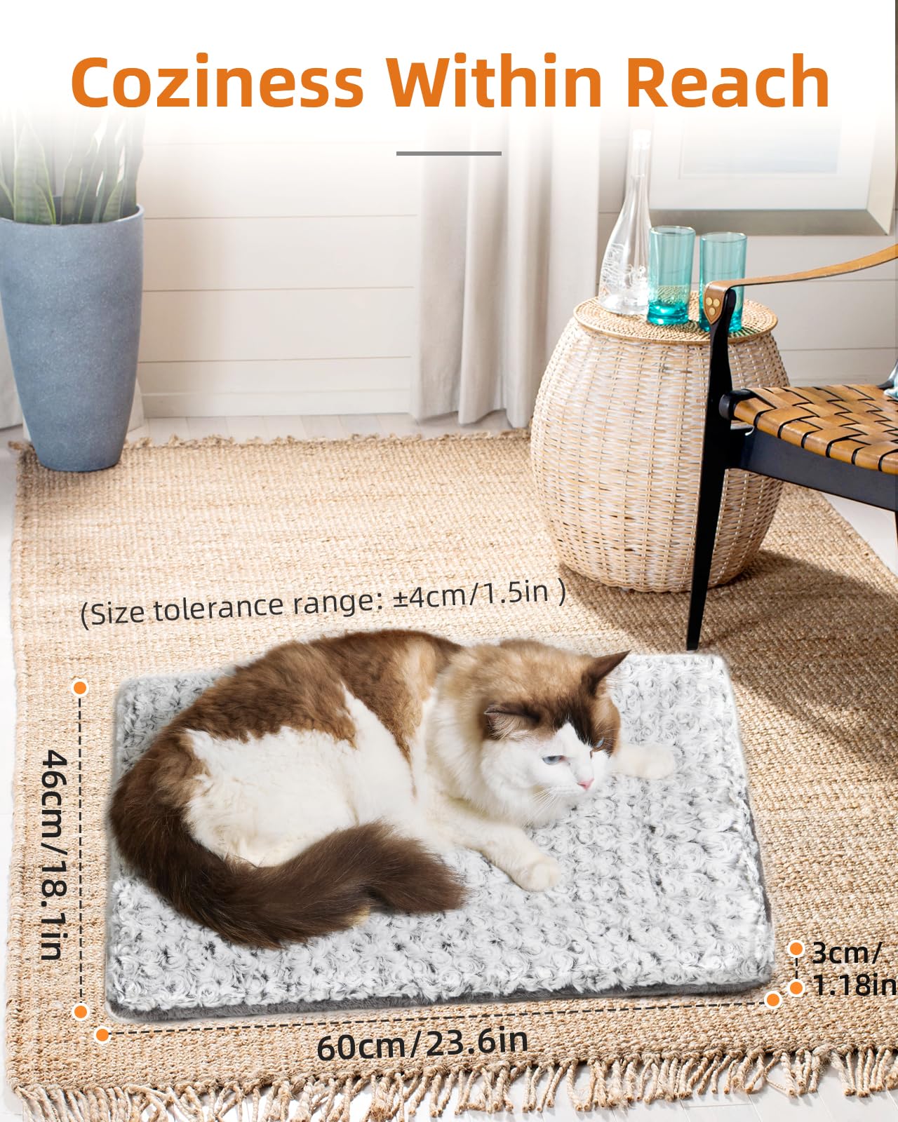 Papettly cat bed use on sofa or floor in cozy indoor setting