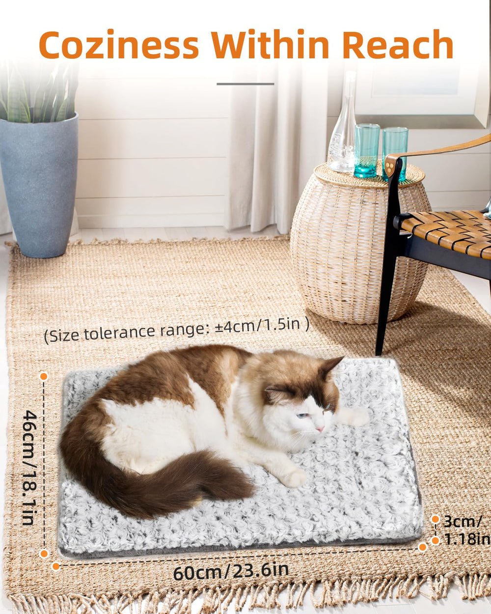 Papettly cat bed use on sofa or floor in cozy indoor setting