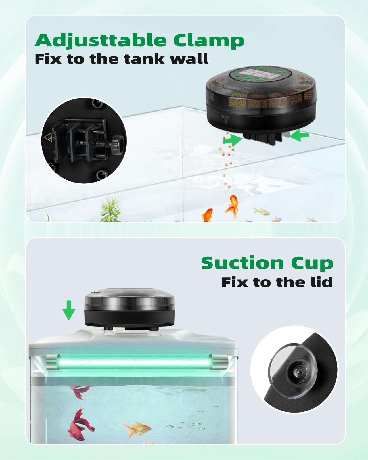 Papettly feeder mounts with clip or suction cup for easy tank installation.