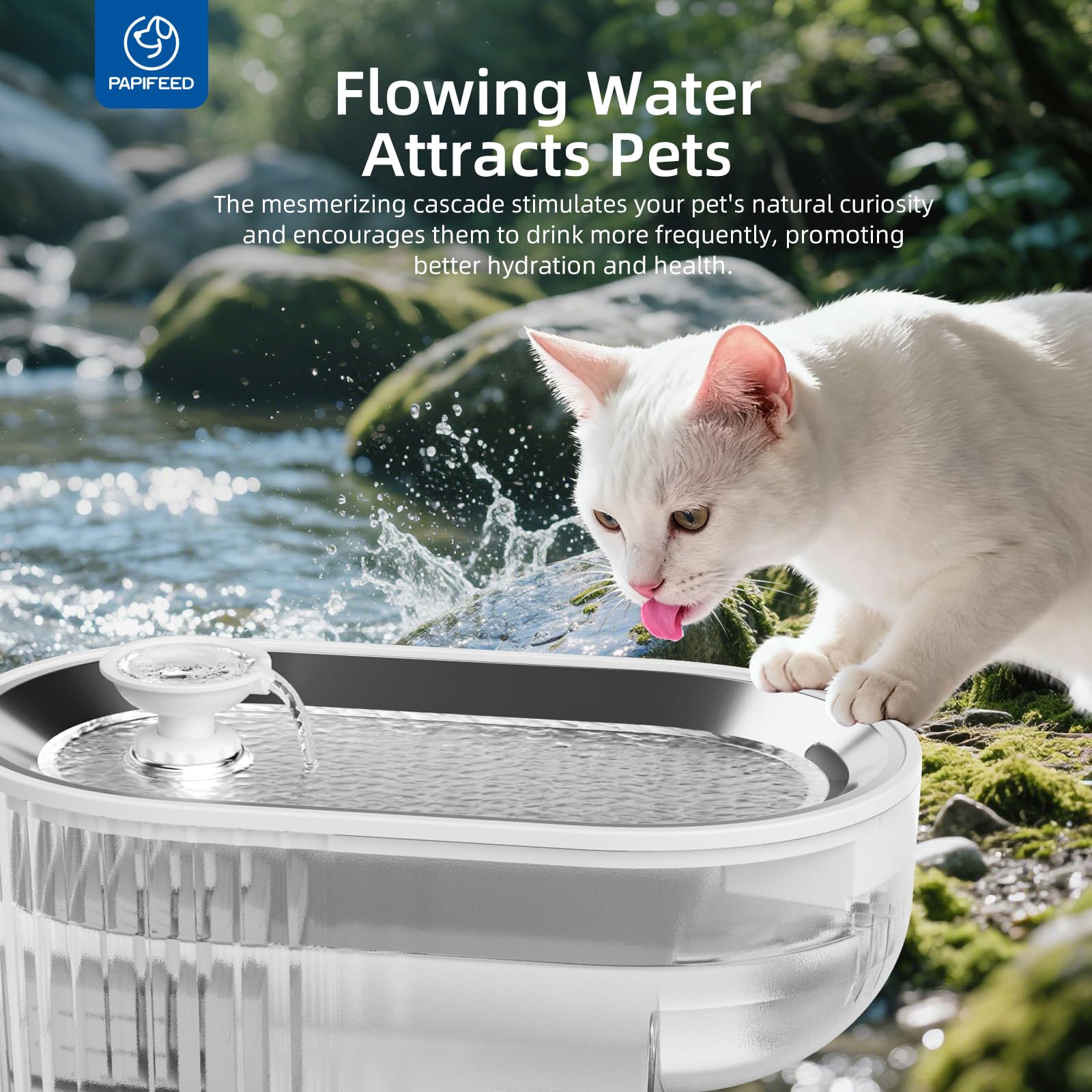PAPIFEED LED-light glow powers the fountain and attracts pets