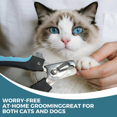 PAPIFFEED Nail Grinder three speeds ports, versatile for small to large dogs
