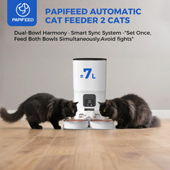 PAPIFEED slow feed mode dispenses kibble gradually to support digestion.
