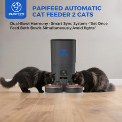 Papifeed wifi app control enables remote feeding and monitoring for busy owners.