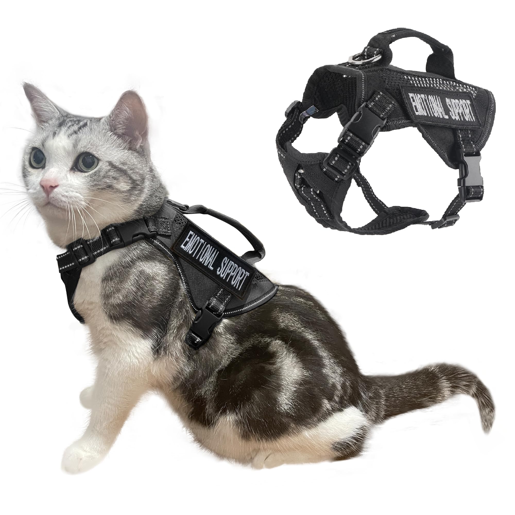 Papipets tactical cat harness with back buckle closure for secure outdoor walks.