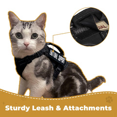 Papipets harness features breathable airmesh and lightweight 1000D nylon for comfort.