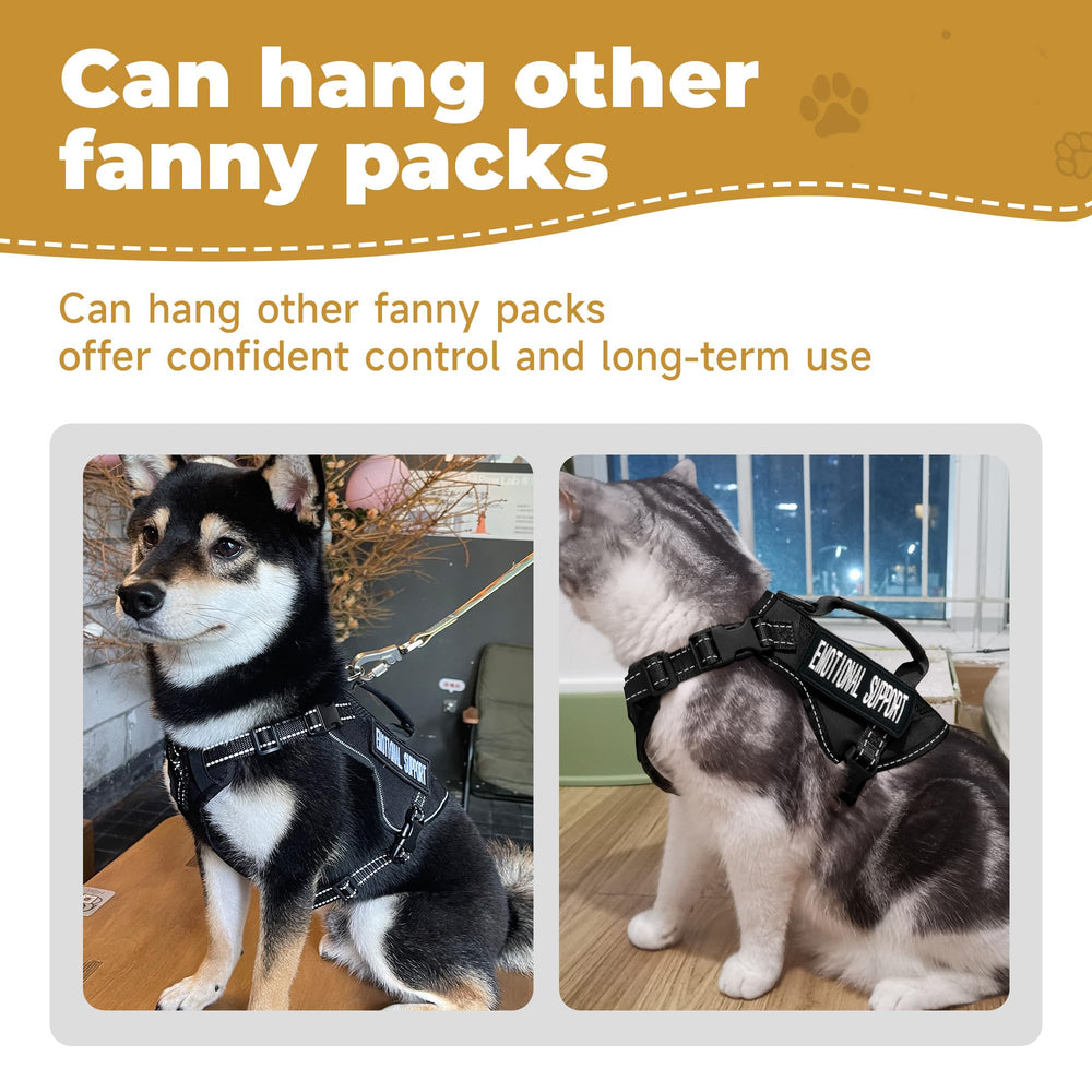 Papipets back D-ring leash attachment supports secure leash connections.
