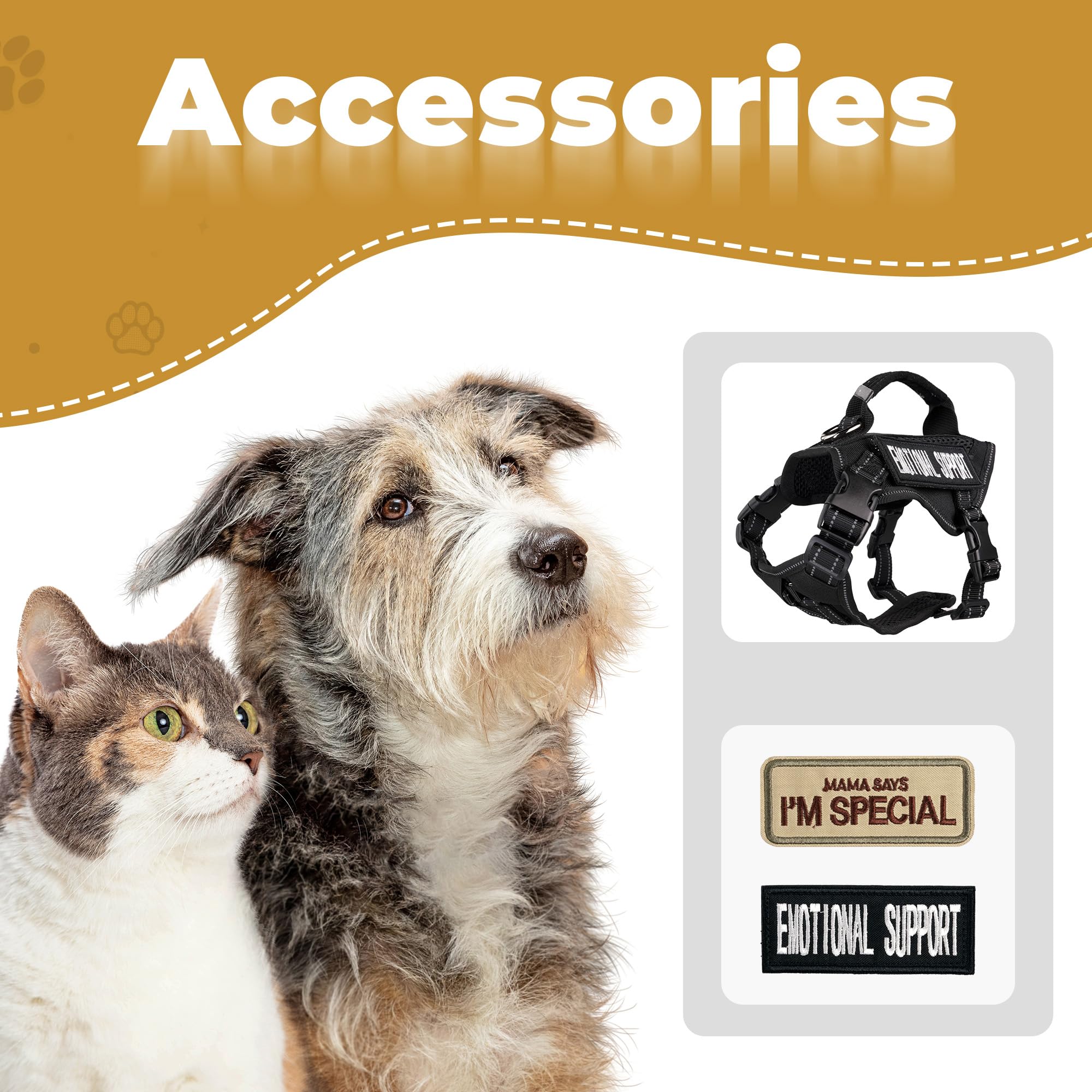 Papipets harness is ideal for outdoor adventures and daily training sessions.