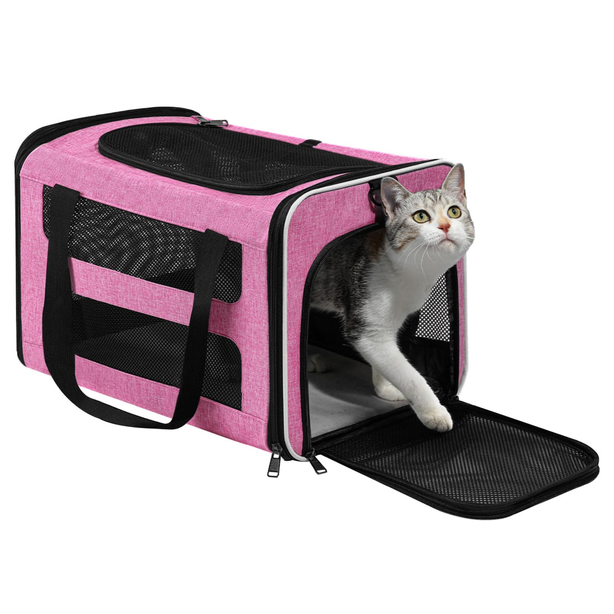PAPZER cat carrier soft-sided top-entry for easy loading and travel