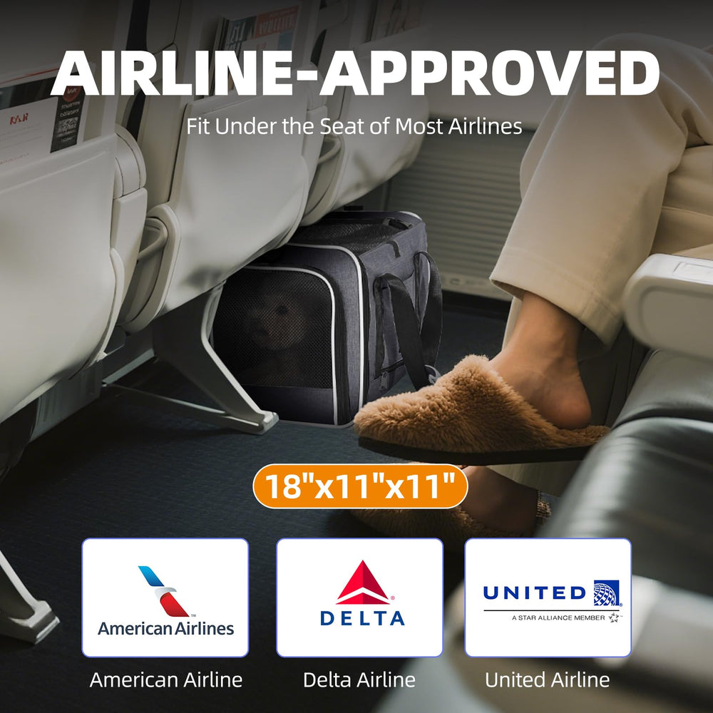 Papzer hands-free mobility with adjustable shoulder strap for clinics and airports.