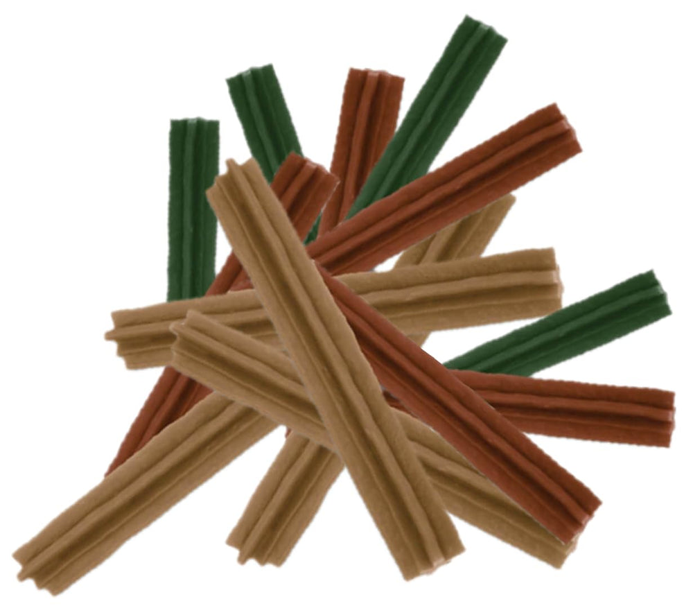 Paragon Whimzees Stix 2-pack display for convenient multi-pack dental care