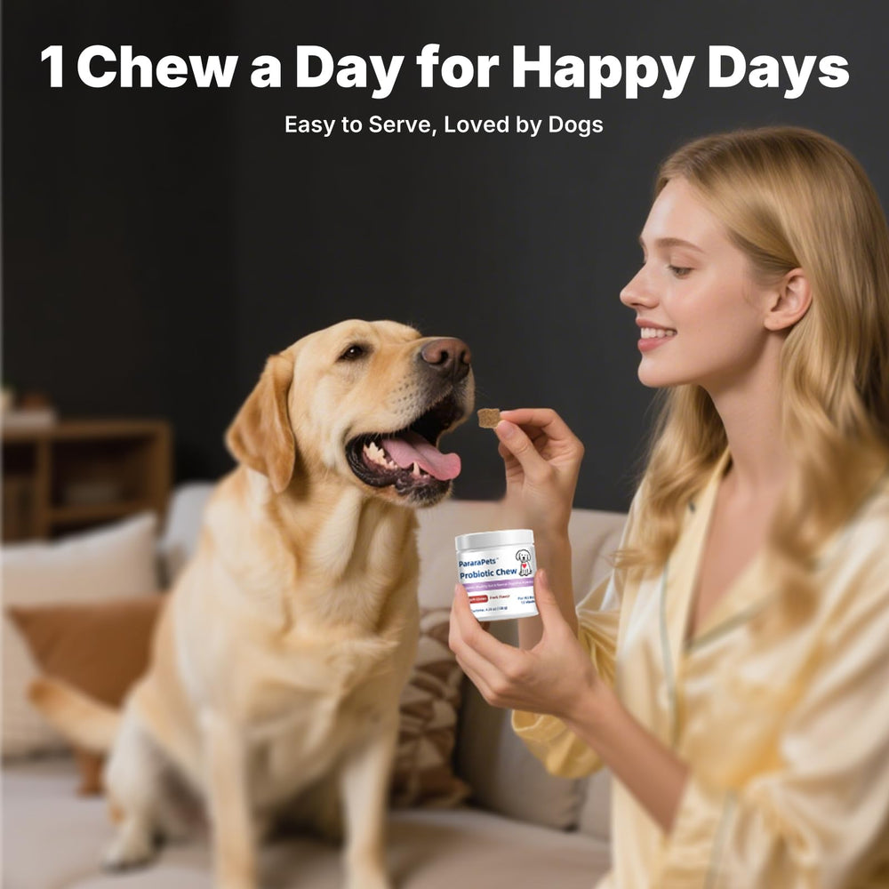 PararaPets Probiotics for Dogs Soft Chews all-dog-sizes illustrates universal suitability