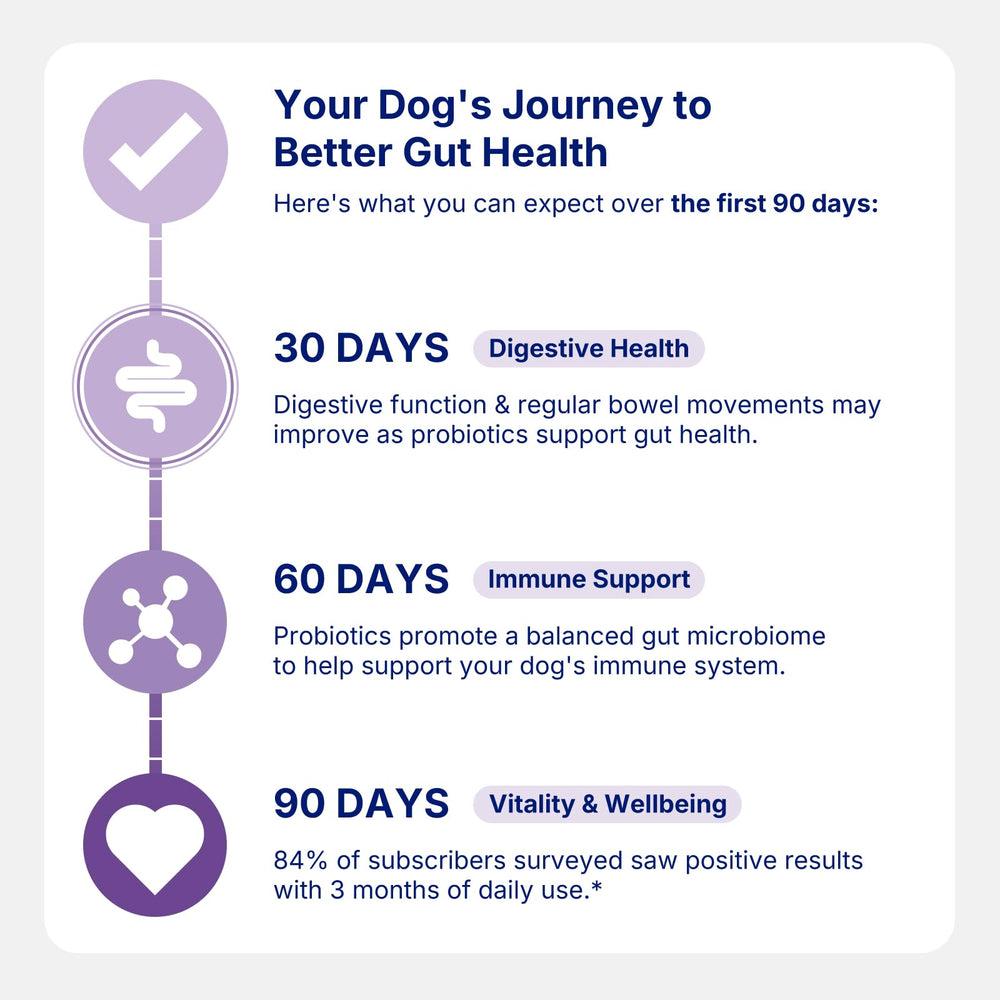 PararaPets Probiotics for Dogs Soft Chews bag back-label provides dosage guidance