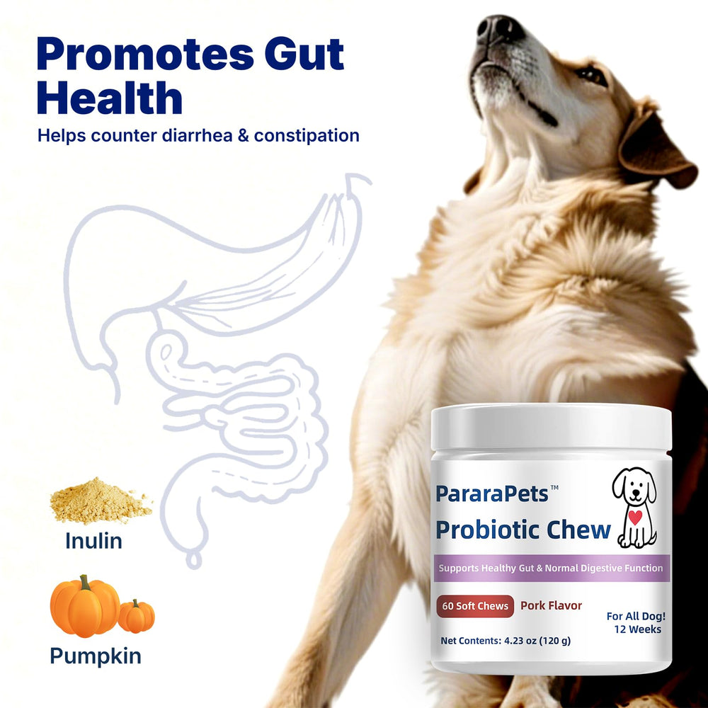 PararaPets Probiotics for Dogs Soft Chews pork-flavor closeup emphasizes tasty flavor loved by dogs