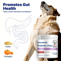 PararaPets Probiotics for Dogs Soft Chews pork-flavor closeup emphasizes tasty flavor loved by dogs