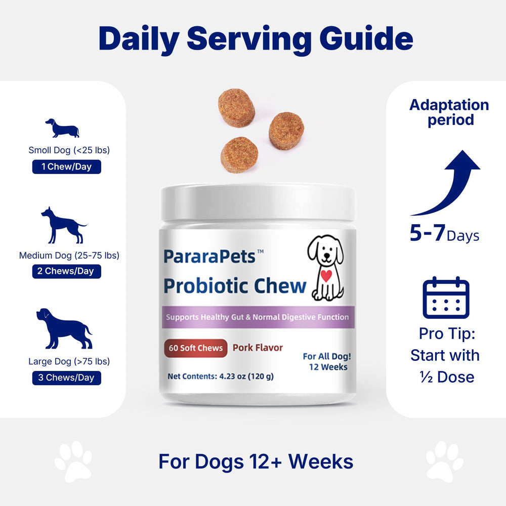PararaPets Probiotics for Dogs Soft Chews training-reward scene suggests positive training moments