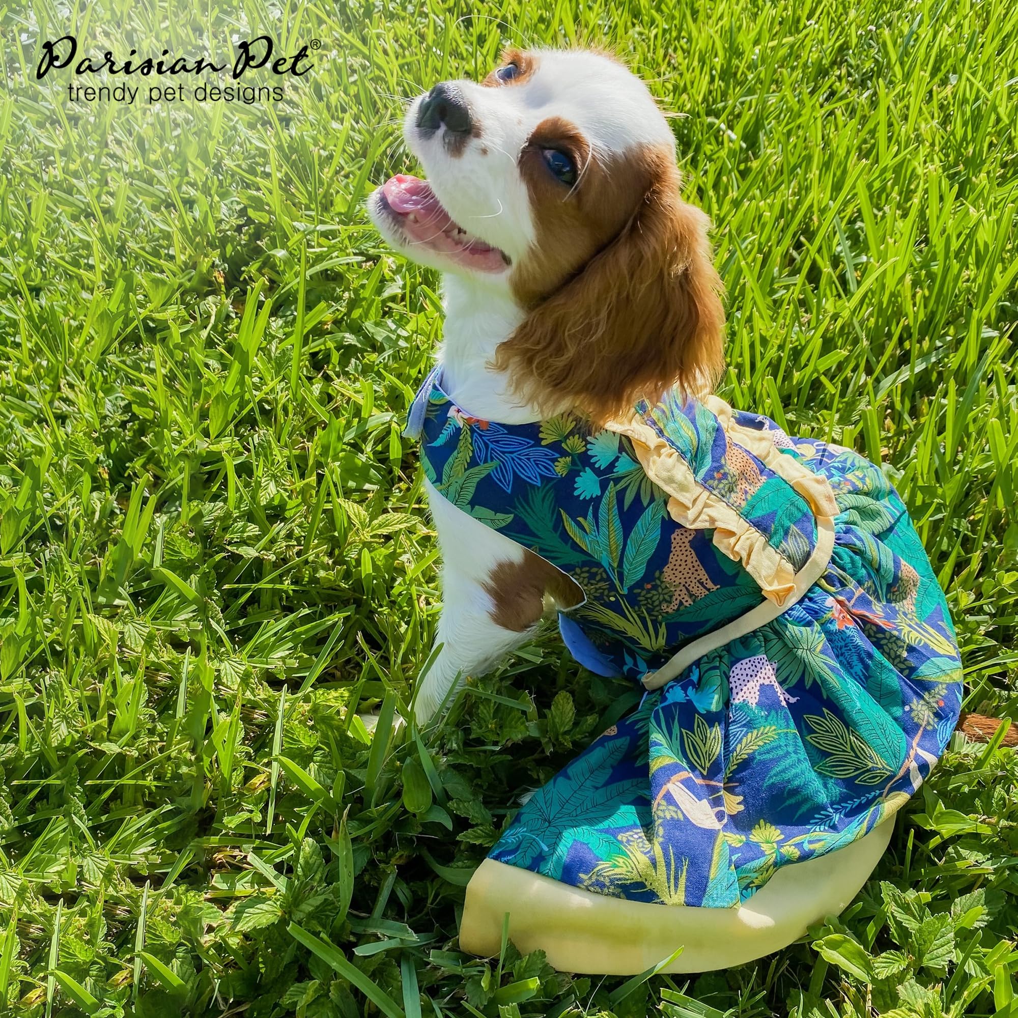 Parisian Pet Amazonia dress demonstrates precise fit using back-length measurement