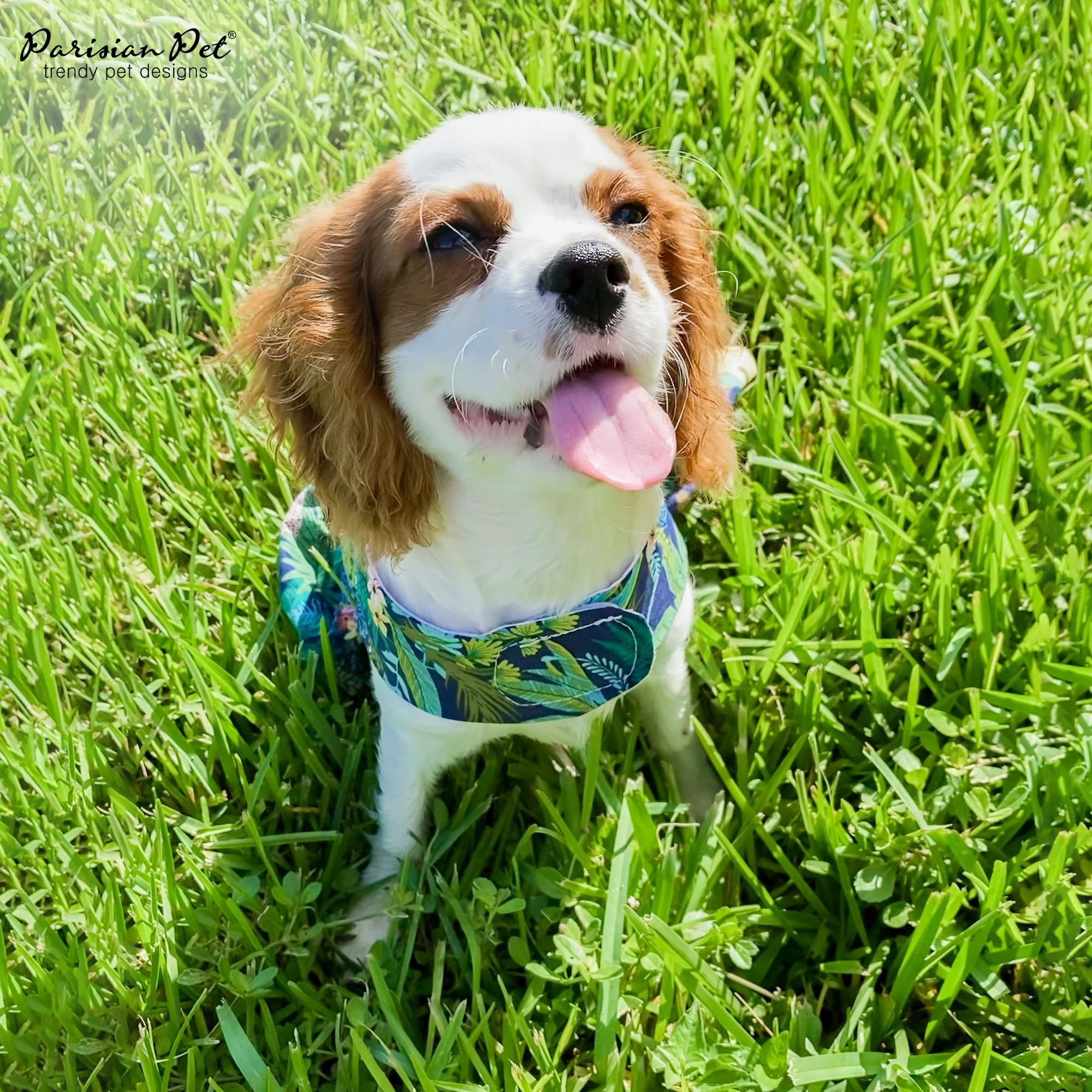 Parisian Pet Amazonia dress is fully washable for easy maintenance