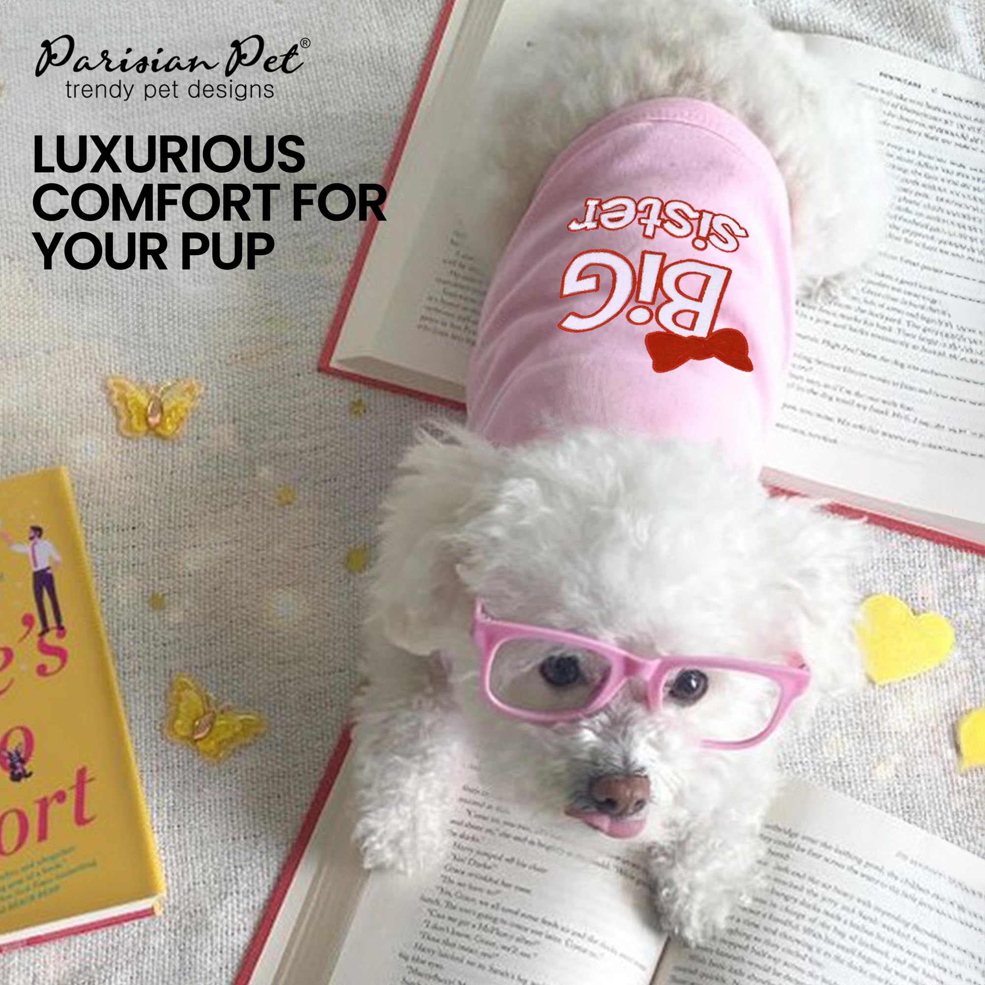 Parisian Pet Big Sister T-Shirt worn by dog for everyday adventures