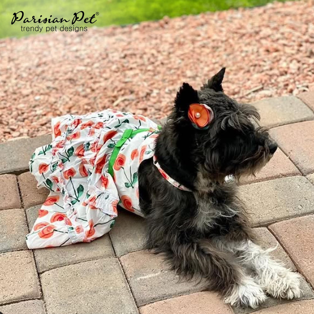 Parisian Pet Boho Dress on a large dog (2XL) demonstrating roomy comfort.
