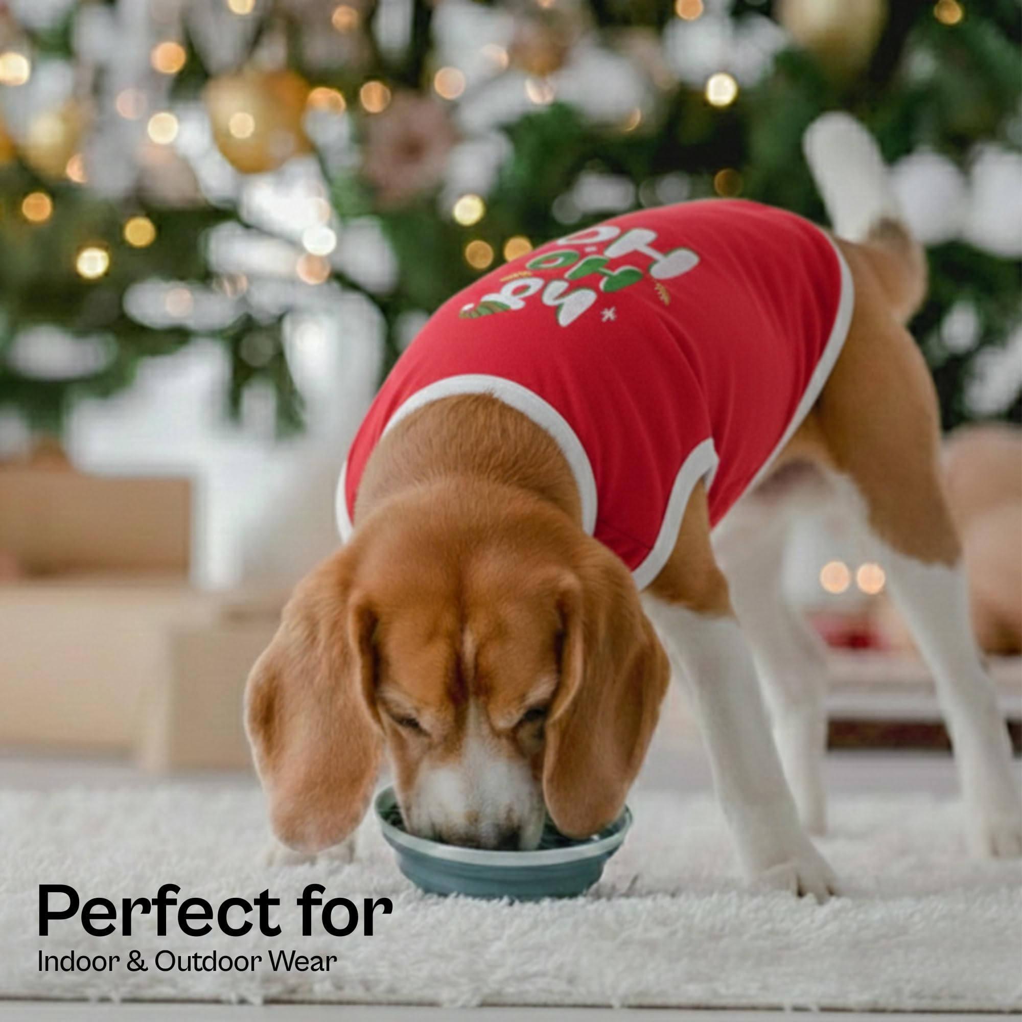 Parisian Pet Christmas dog outfit with embroidered design for holiday style