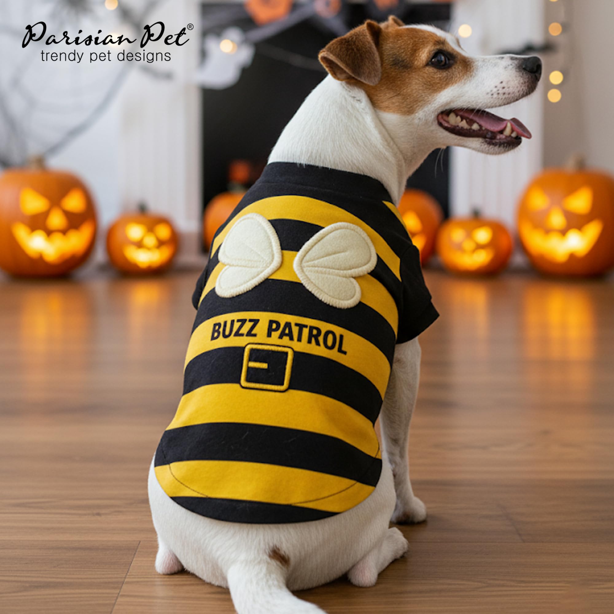 Parisian Pet costume party shot; playful look for events and photos.