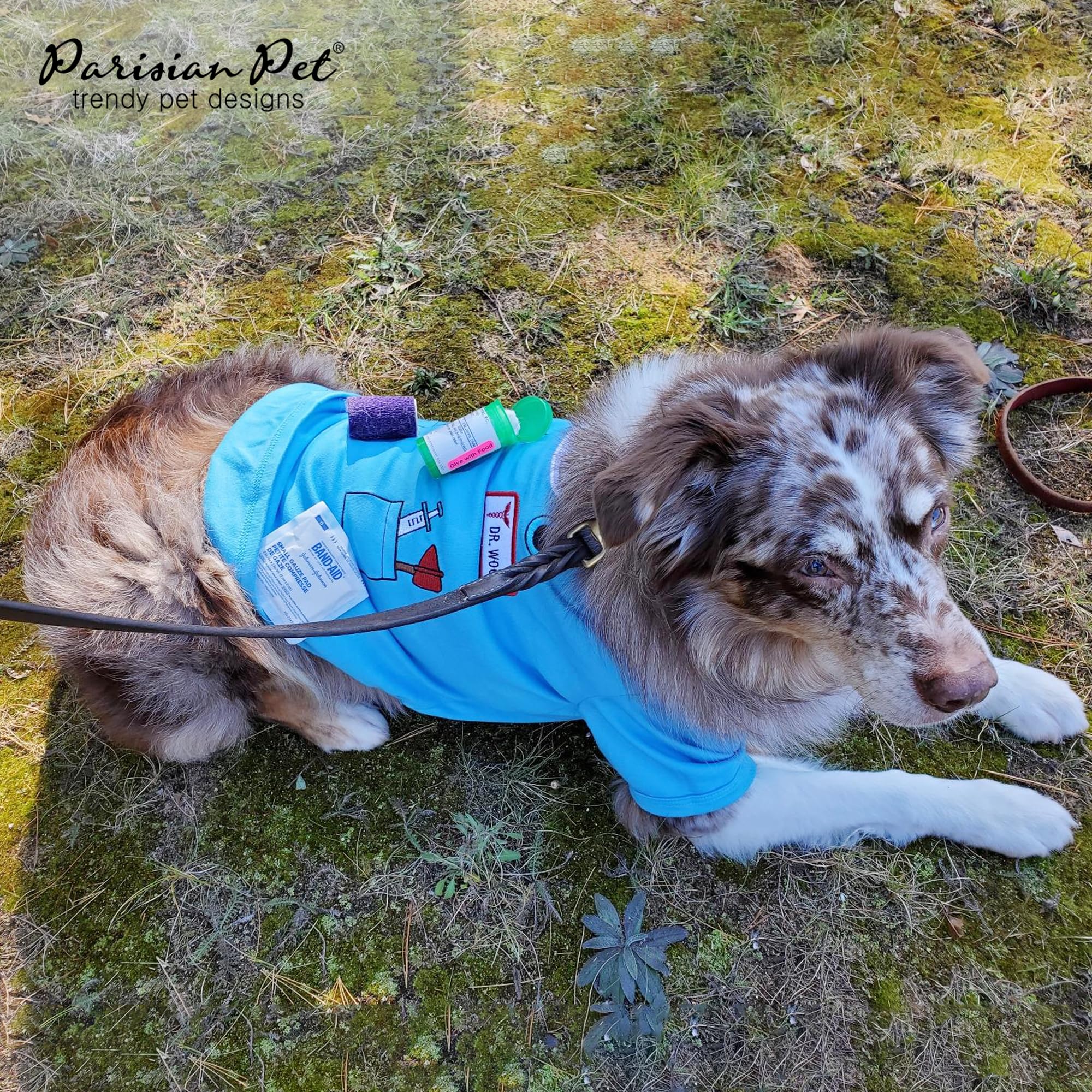 Parisian Pet Doctor Woof Shirt blue color shown on a dog model for easy wear.