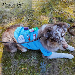 Parisian Pet Doctor Woof Shirt blue color shown on a dog model for easy wear.
